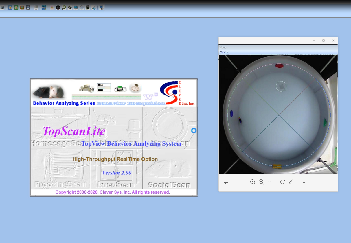 水迷宫视频分析系统II CleverSys TopScanLite