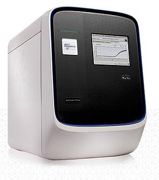 Q6实时荧光定量PCR