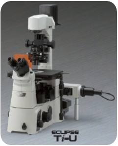 倒置荧光显微镜-影像中心