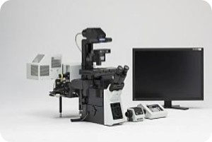 激光扫描共聚焦显微镜-影像中心