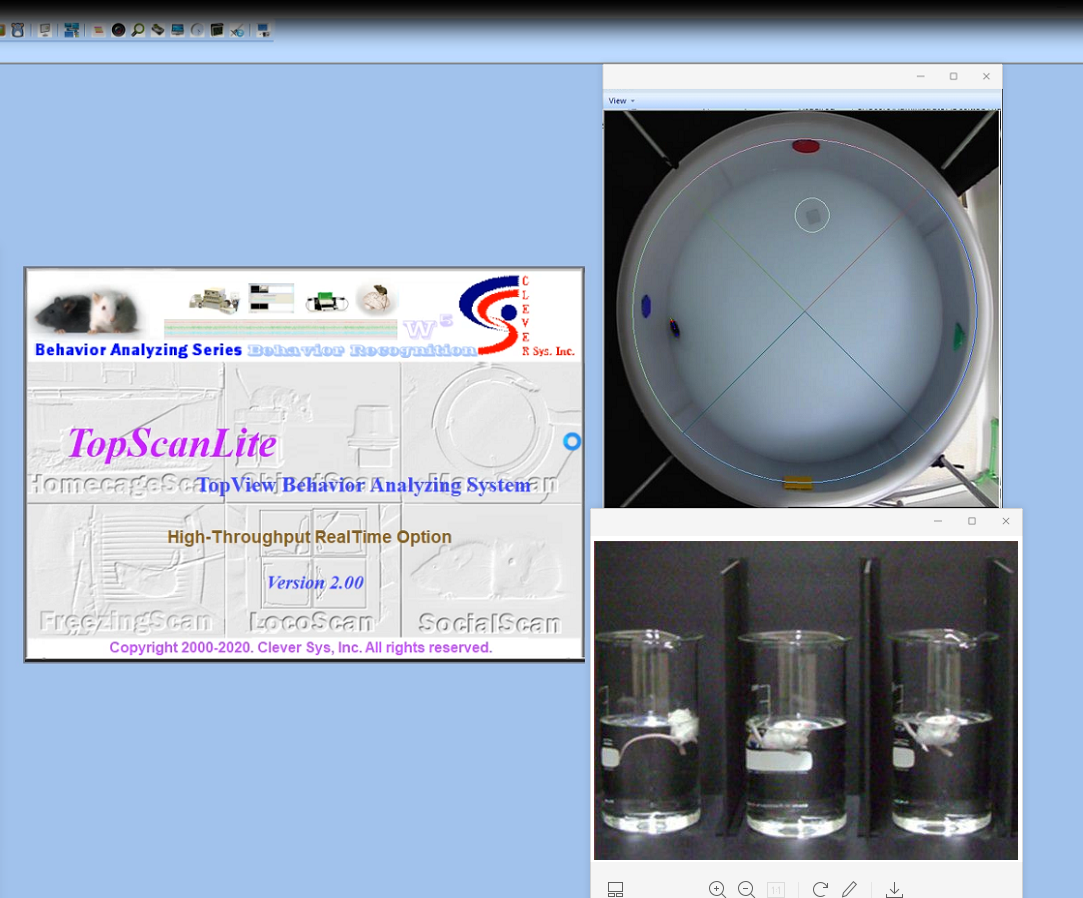 水迷宫视频分析系统I  CleverSys TopScanLite